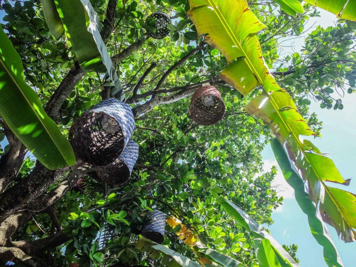 Casa De Palos Boutique Tarapoto Zewnętrze zdjęcie