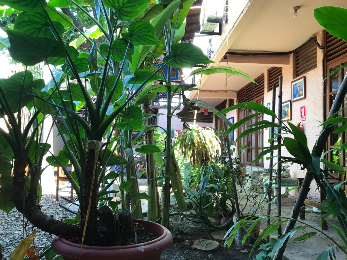 Casa De Palos Boutique Tarapoto Zewnętrze zdjęcie