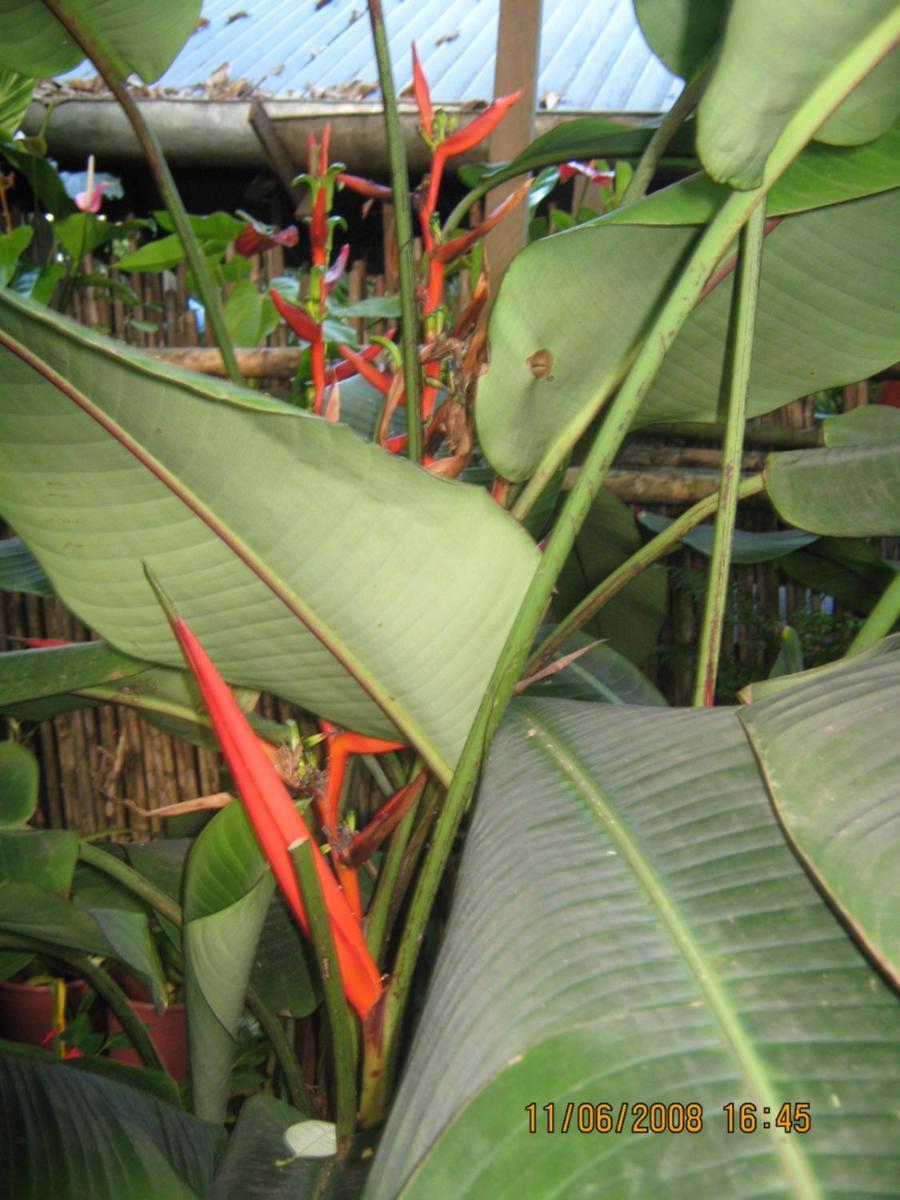 Casa De Palos Boutique Tarapoto Zewnętrze zdjęcie