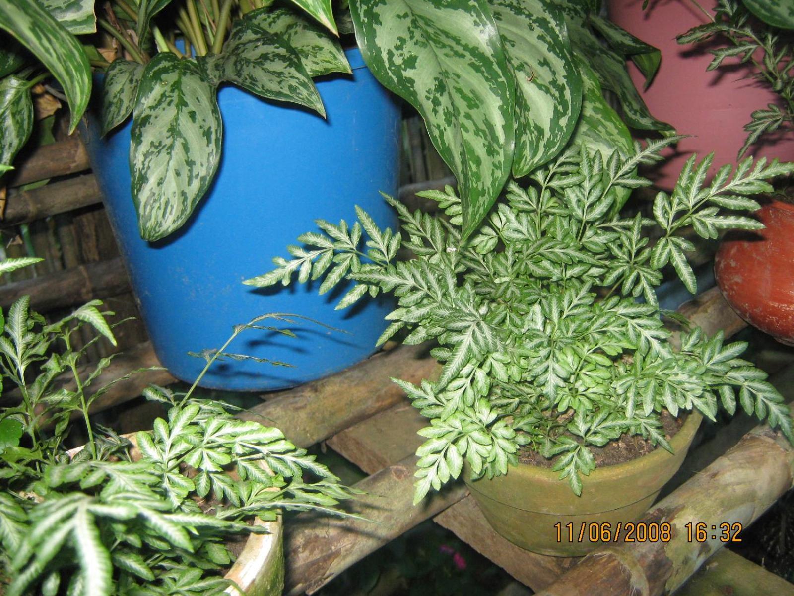 Casa De Palos Boutique Tarapoto Zewnętrze zdjęcie