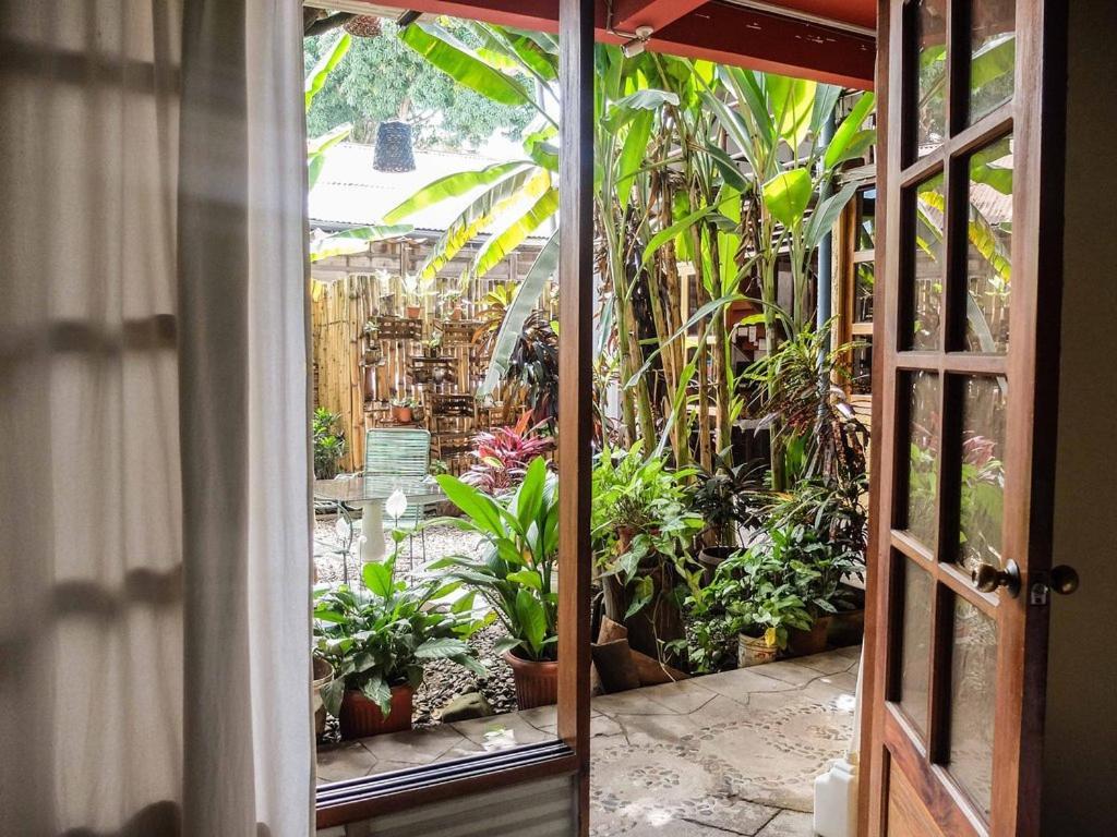 Casa De Palos Boutique Tarapoto Zewnętrze zdjęcie