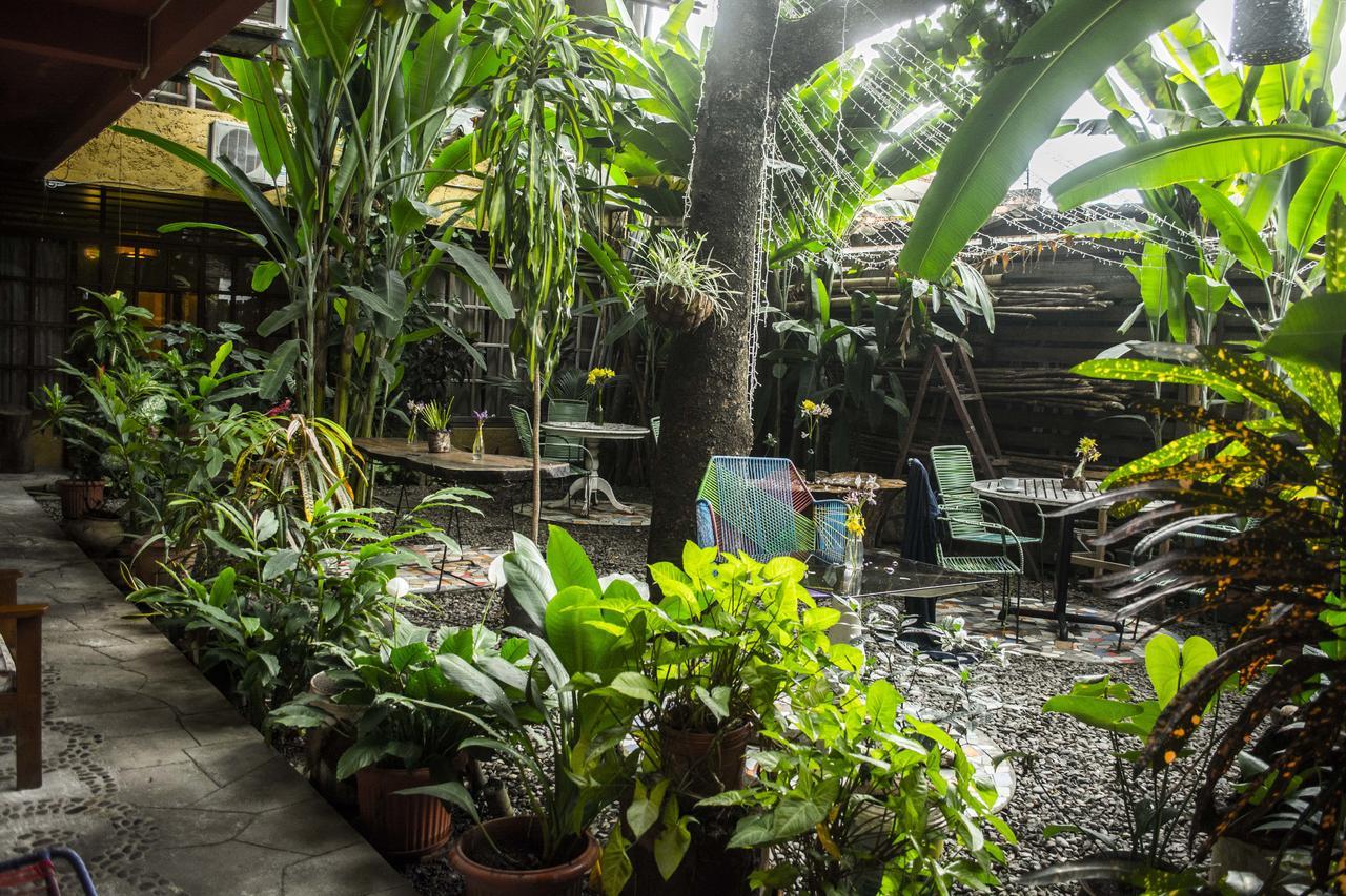 Casa De Palos Boutique Tarapoto Zewnętrze zdjęcie